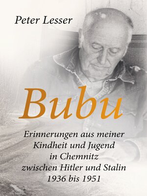 cover image of Bubu. Erinnerungen aus meiner Kindheit und Jugend